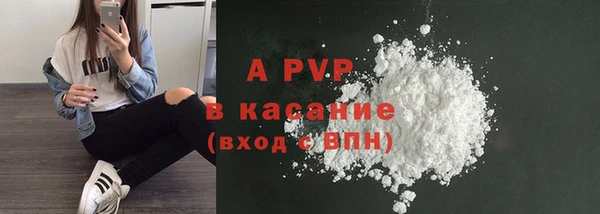 амф Бородино