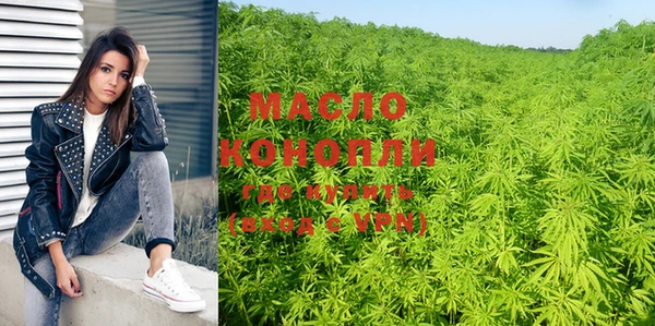 амф Бородино