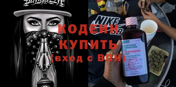 амф Бородино